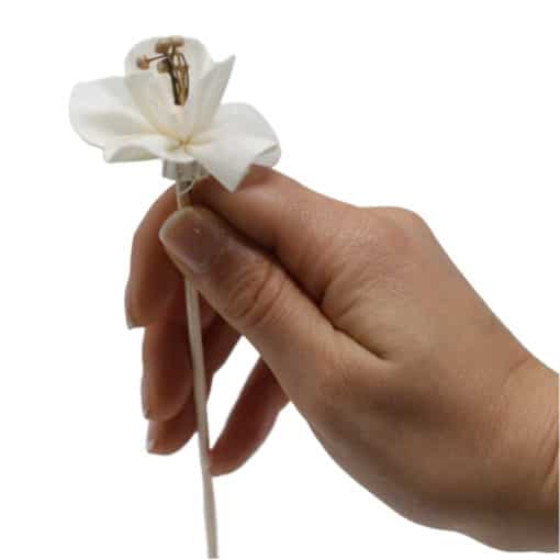 Diffuser bloem - lelie aan rietstengel